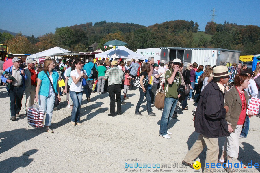 Hengstparade-Marbach-2011-011011-Bodensee-Community-SEECHAT_DE-IMG_0117.JPG