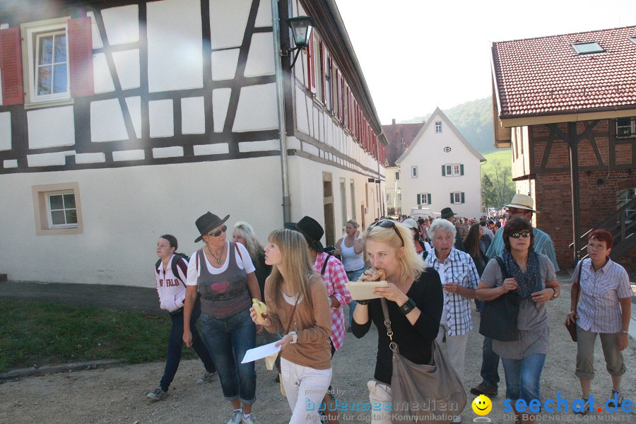 Hengstparade-Marbach-2011-011011-Bodensee-Community-SEECHAT_DE-IMG_0129.JPG