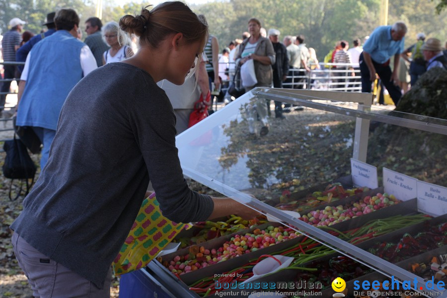 Hengstparade-Marbach-2011-011011-Bodensee-Community-SEECHAT_DE-IMG_0146.JPG