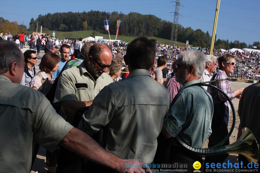 Hengstparade-Marbach-2011-011011-Bodensee-Community-SEECHAT_DE-IMG_0154.JPG