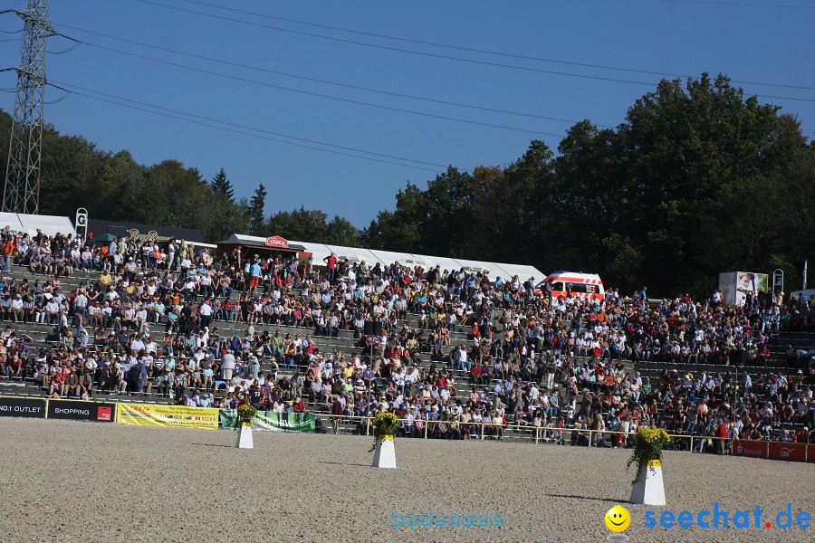 Hengstparade-Marbach-2011-011011-Bodensee-Community-SEECHAT_DE-IMG_0170.JPG