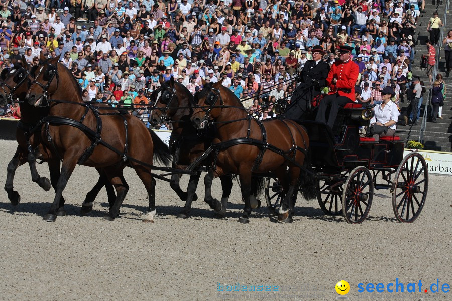 Hengstparade-Marbach-2011-011011-Bodensee-Community-SEECHAT_DE-IMG_0252.JPG