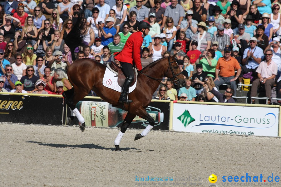 Hengstparade-Marbach-2011-011011-Bodensee-Community-SEECHAT_DE-IMG_0269.JPG