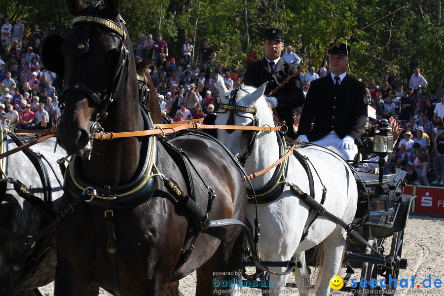 Hengstparade-Marbach-2011-011011-Bodensee-Community-SEECHAT_DE-IMG_0274.JPG