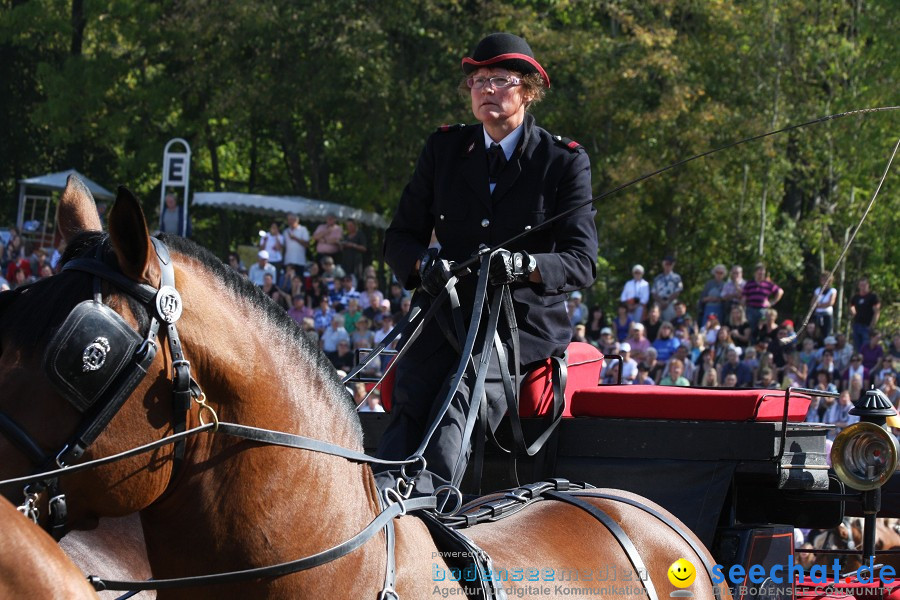 Hengstparade-Marbach-2011-011011-Bodensee-Community-SEECHAT_DE-IMG_0294.JPG