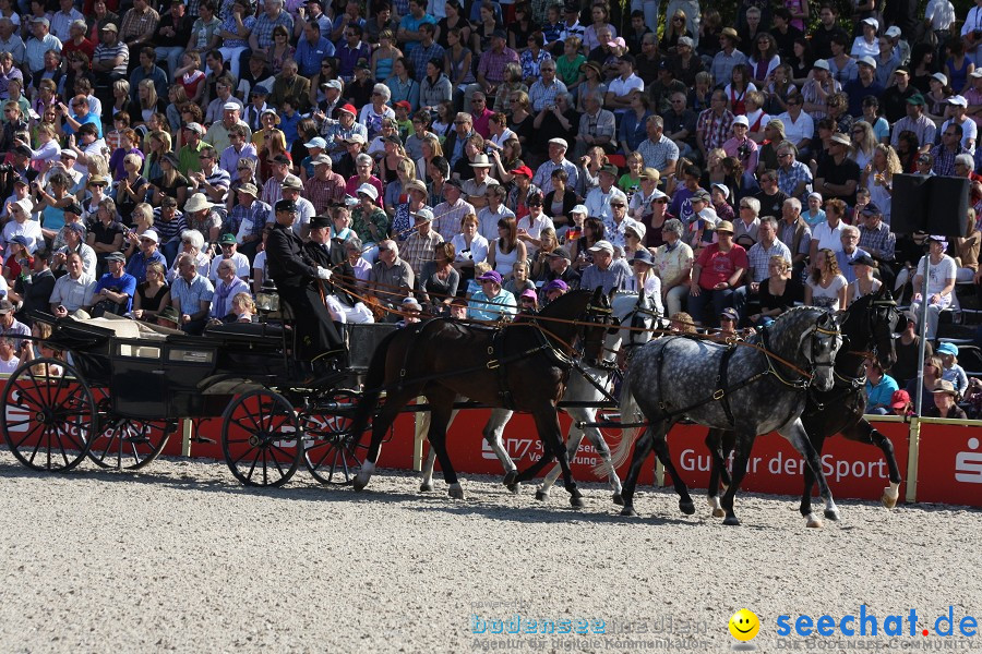 Hengstparade-Marbach-2011-011011-Bodensee-Community-SEECHAT_DE-IMG_0301.JPG