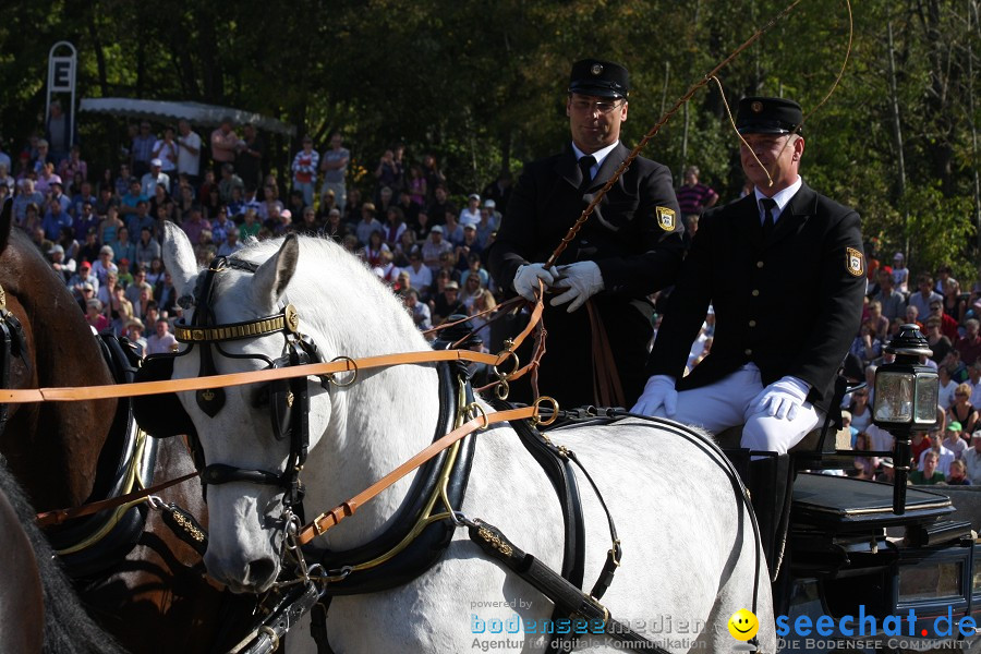 Hengstparade-Marbach-2011-011011-Bodensee-Community-SEECHAT_DE-IMG_0303.JPG