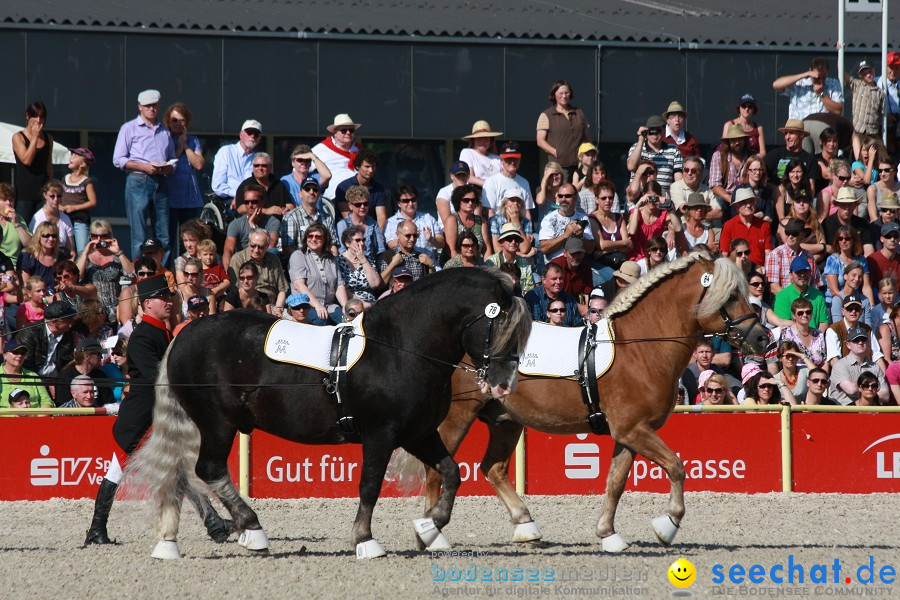 Hengstparade-Marbach-2011-011011-Bodensee-Community-SEECHAT_DE-IMG_0363.JPG