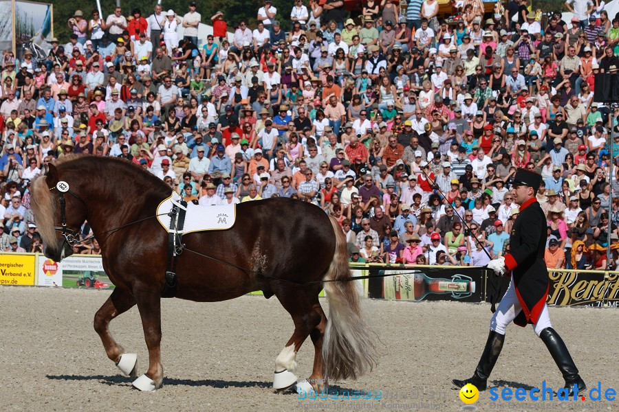 Hengstparade-Marbach-2011-011011-Bodensee-Community-SEECHAT_DE-IMG_0364.JPG