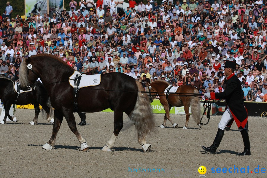 Hengstparade-Marbach-2011-011011-Bodensee-Community-SEECHAT_DE-IMG_0366.JPG