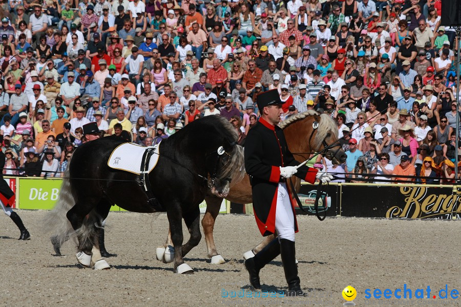 Hengstparade-Marbach-2011-011011-Bodensee-Community-SEECHAT_DE-IMG_0368.JPG