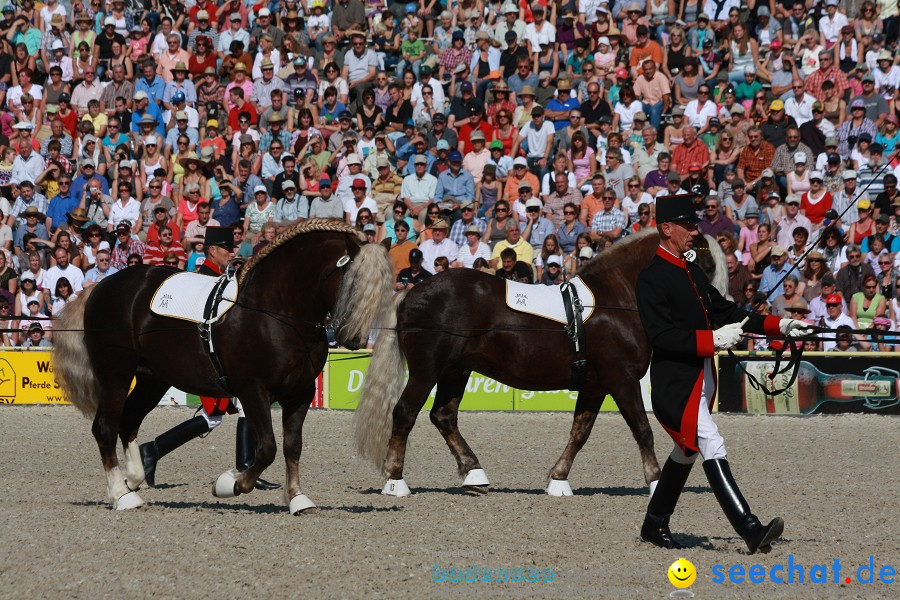 Hengstparade-Marbach-2011-011011-Bodensee-Community-SEECHAT_DE-IMG_0370.JPG