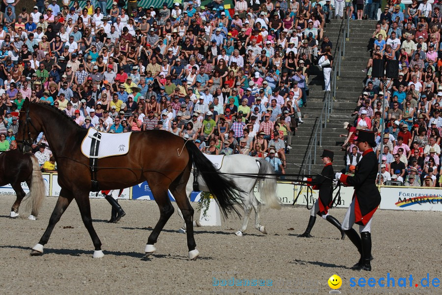 Hengstparade-Marbach-2011-011011-Bodensee-Community-SEECHAT_DE-IMG_0371.JPG