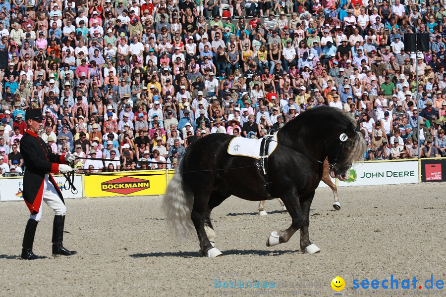 Hengstparade-Marbach-2011-011011-Bodensee-Community-SEECHAT_DE-IMG_0372.JPG