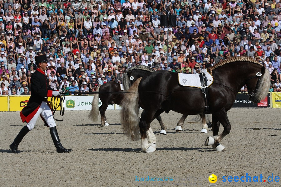 Hengstparade-Marbach-2011-011011-Bodensee-Community-SEECHAT_DE-IMG_0373.JPG