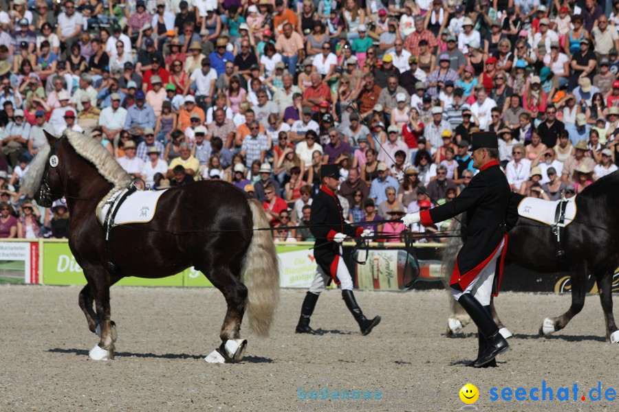 Hengstparade-Marbach-2011-011011-Bodensee-Community-SEECHAT_DE-IMG_0374.JPG