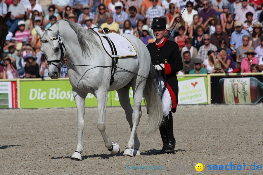 Hengstparade-Marbach-2011-011011-Bodensee-Community-SEECHAT_DE-IMG_0379.JPG