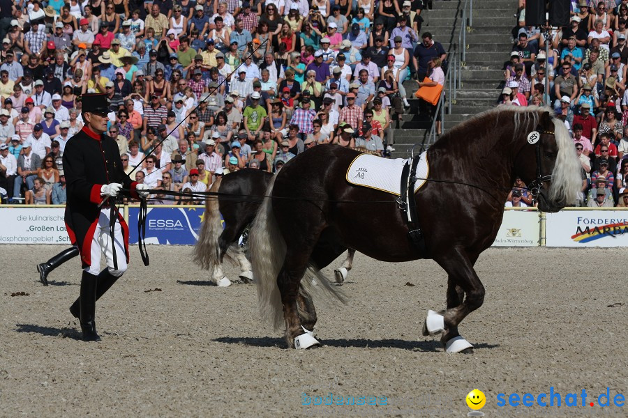 Hengstparade-Marbach-2011-011011-Bodensee-Community-SEECHAT_DE-IMG_0380.JPG