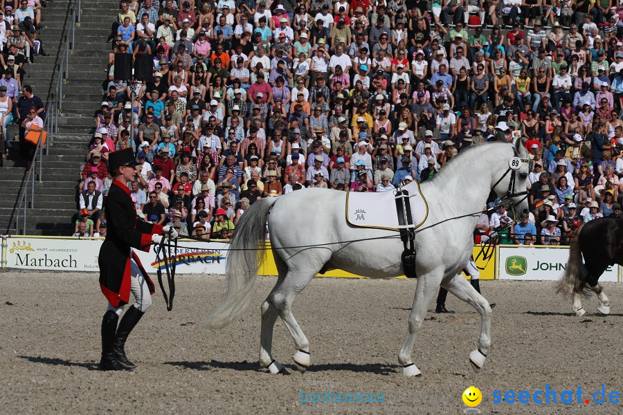 Hengstparade-Marbach-2011-011011-Bodensee-Community-SEECHAT_DE-IMG_0381.JPG