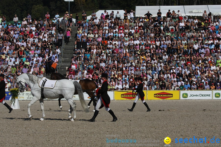 Hengstparade-Marbach-2011-011011-Bodensee-Community-SEECHAT_DE-IMG_0382.JPG