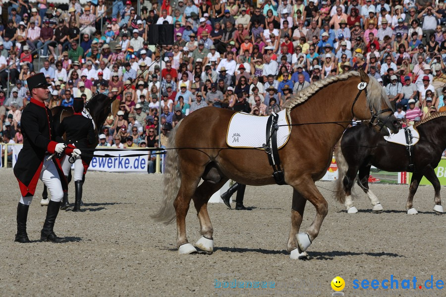 Hengstparade-Marbach-2011-011011-Bodensee-Community-SEECHAT_DE-IMG_0383.JPG