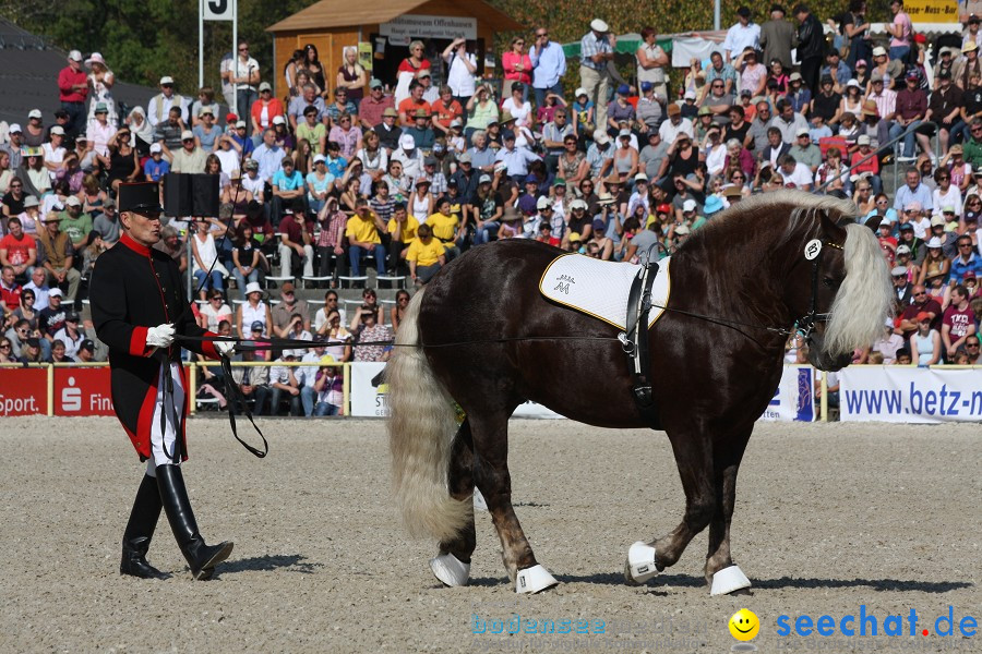 Hengstparade-Marbach-2011-011011-Bodensee-Community-SEECHAT_DE-IMG_0384.JPG