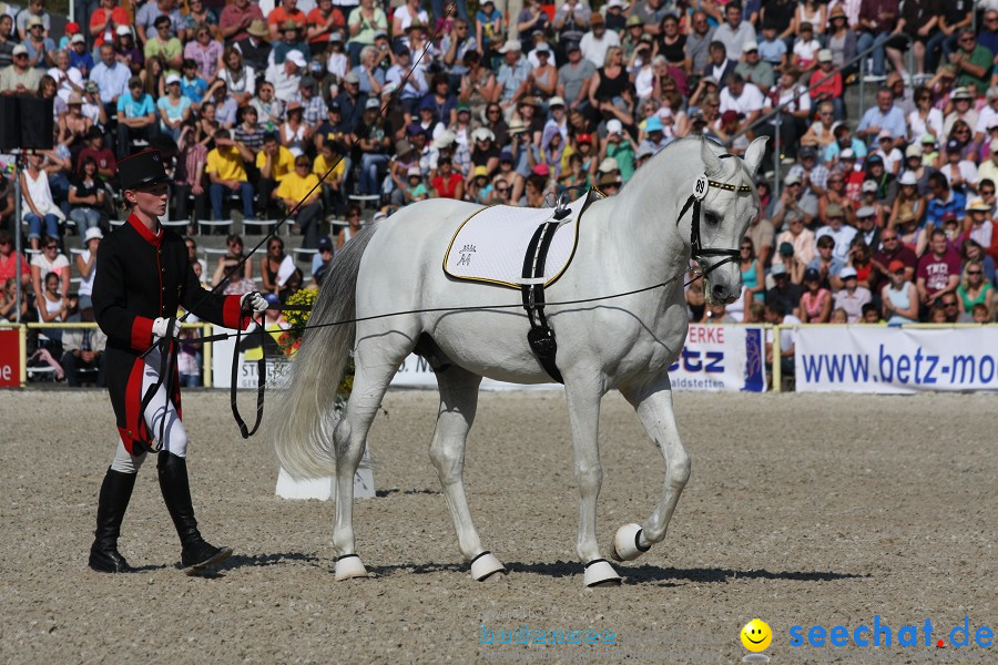 Hengstparade-Marbach-2011-011011-Bodensee-Community-SEECHAT_DE-IMG_0385.JPG