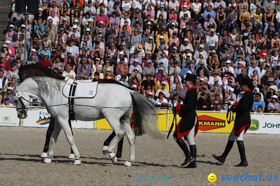 Hengstparade-Marbach-2011-011011-Bodensee-Community-SEECHAT_DE-IMG_0388.JPG