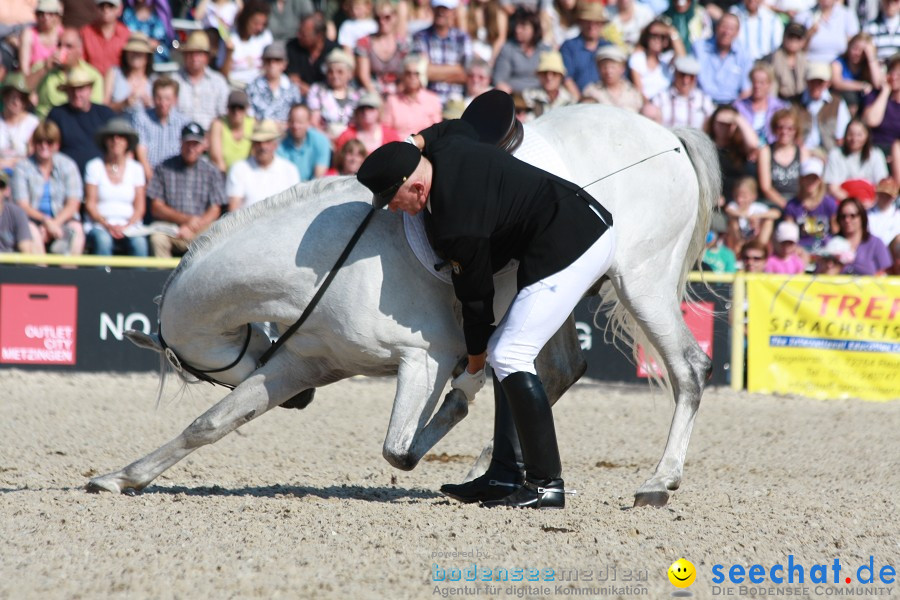 Hengstparade-Marbach-2011-011011-Bodensee-Community-SEECHAT_DE-IMG_0394.JPG