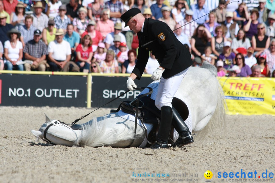 Hengstparade-Marbach-2011-011011-Bodensee-Community-SEECHAT_DE-IMG_0395.JPG