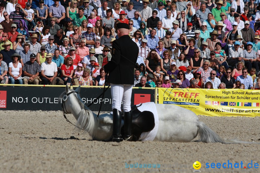 Hengstparade-Marbach-2011-011011-Bodensee-Community-SEECHAT_DE-IMG_0396.JPG