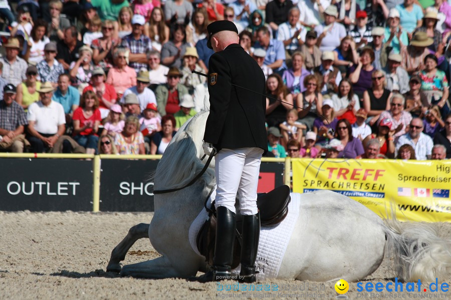 Hengstparade-Marbach-2011-011011-Bodensee-Community-SEECHAT_DE-IMG_0397.JPG