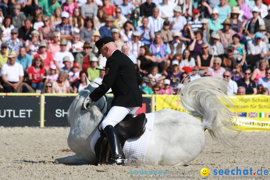 Hengstparade-Marbach-2011-011011-Bodensee-Community-SEECHAT_DE-IMG_0401.JPG