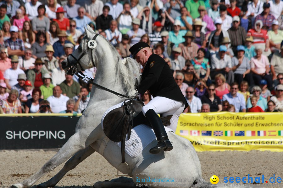 Hengstparade-Marbach-2011-011011-Bodensee-Community-SEECHAT_DE-IMG_0404.JPG