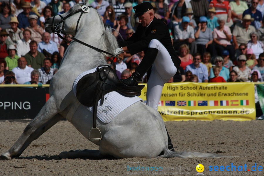 Hengstparade-Marbach-2011-011011-Bodensee-Community-SEECHAT_DE-IMG_0406.JPG