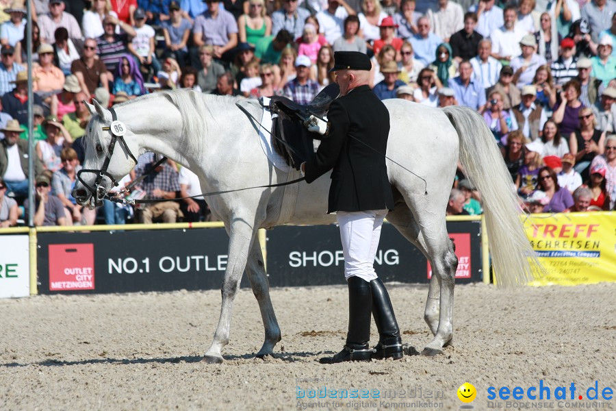 Hengstparade-Marbach-2011-011011-Bodensee-Community-SEECHAT_DE-IMG_0414.JPG