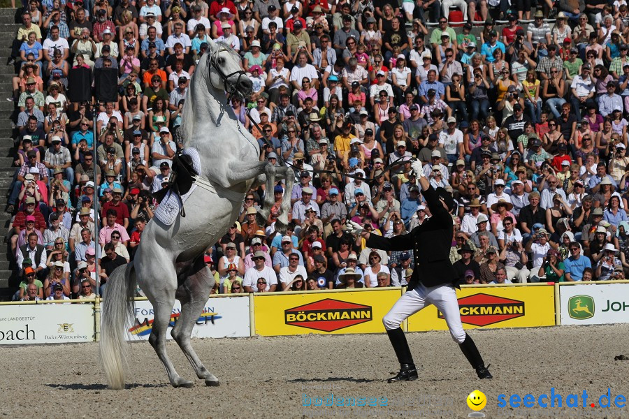 Hengstparade-Marbach-2011-011011-Bodensee-Community-SEECHAT_DE-IMG_0426.JPG