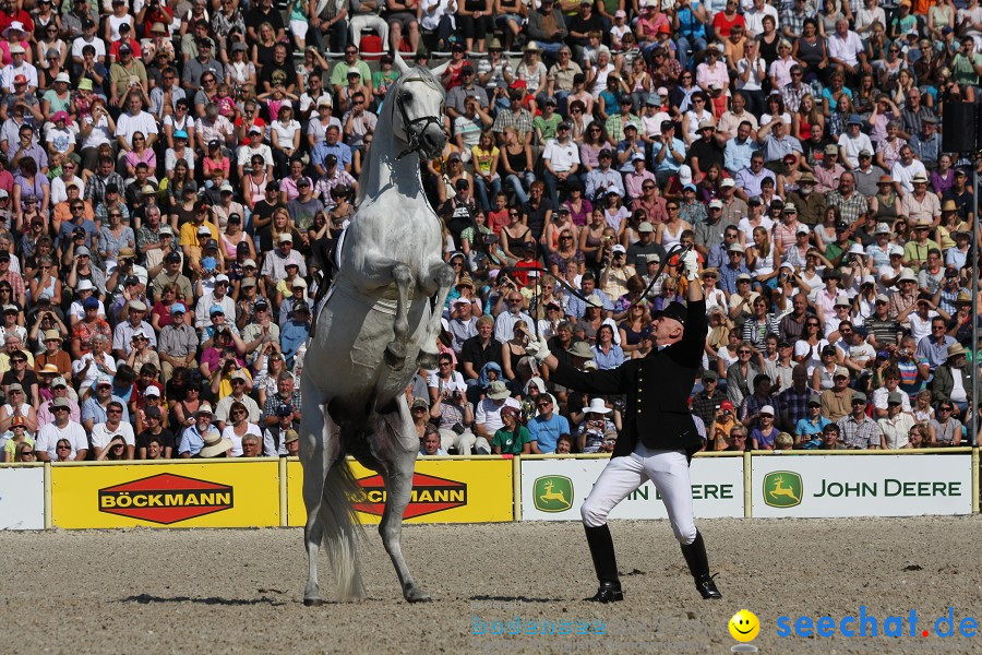 Hengstparade-Marbach-2011-011011-Bodensee-Community-SEECHAT_DE-IMG_0427.JPG