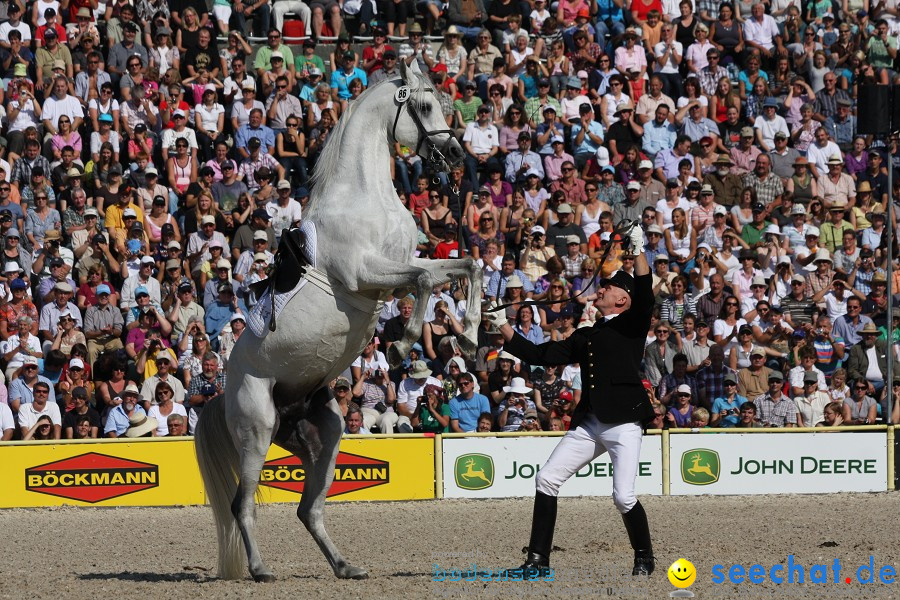 Hengstparade-Marbach-2011-011011-Bodensee-Community-SEECHAT_DE-IMG_0431.JPG