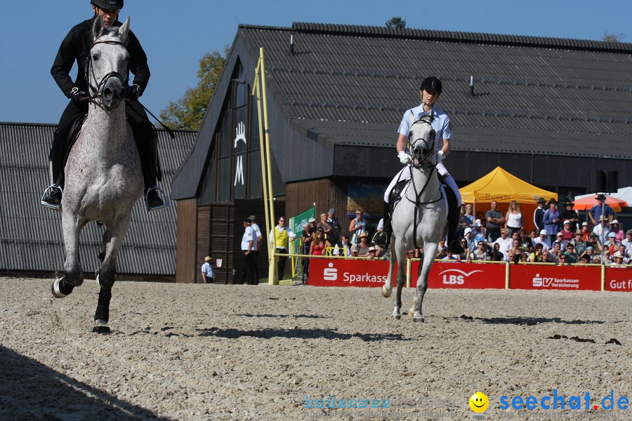 Hengstparade-Marbach-2011-011011-Bodensee-Community-SEECHAT_DE-IMG_0438.JPG