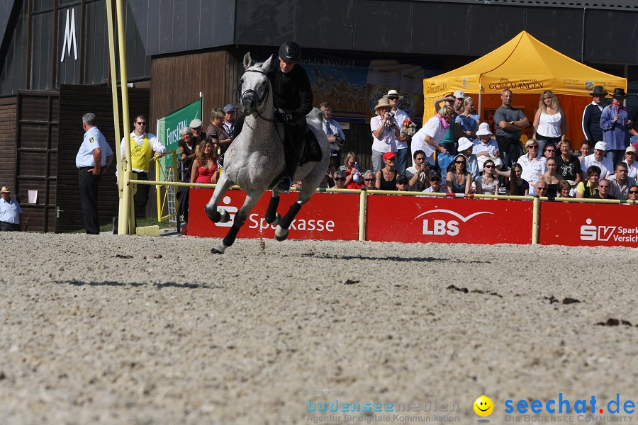 Hengstparade-Marbach-2011-011011-Bodensee-Community-SEECHAT_DE-IMG_0441.JPG