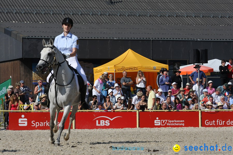 Hengstparade-Marbach-2011-011011-Bodensee-Community-SEECHAT_DE-IMG_0443.JPG