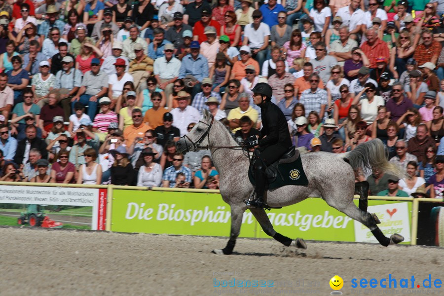 Hengstparade-Marbach-2011-011011-Bodensee-Community-SEECHAT_DE-IMG_0444.JPG