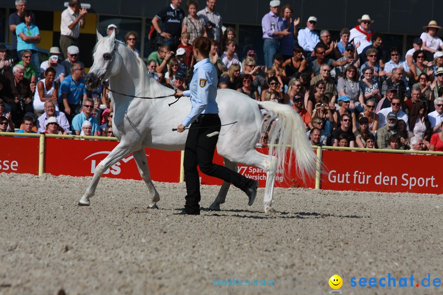 Hengstparade-Marbach-2011-011011-Bodensee-Community-SEECHAT_DE-IMG_0448.JPG