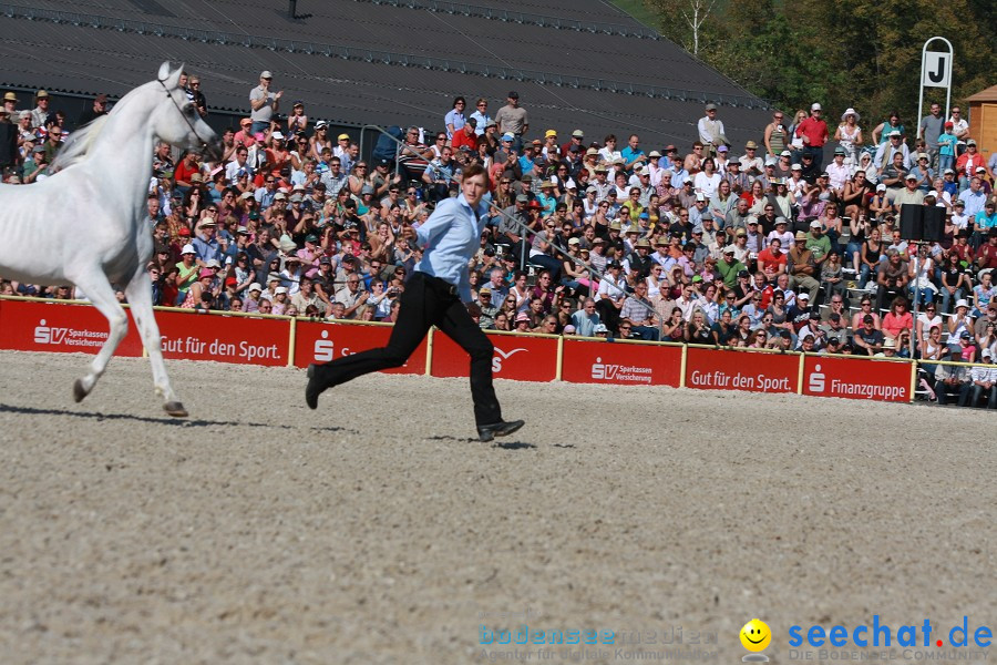 Hengstparade-Marbach-2011-011011-Bodensee-Community-SEECHAT_DE-IMG_0453.JPG