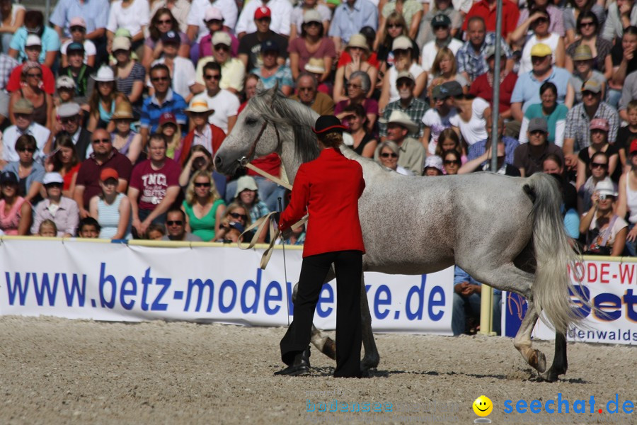 Hengstparade-Marbach-2011-011011-Bodensee-Community-SEECHAT_DE-IMG_0475.JPG