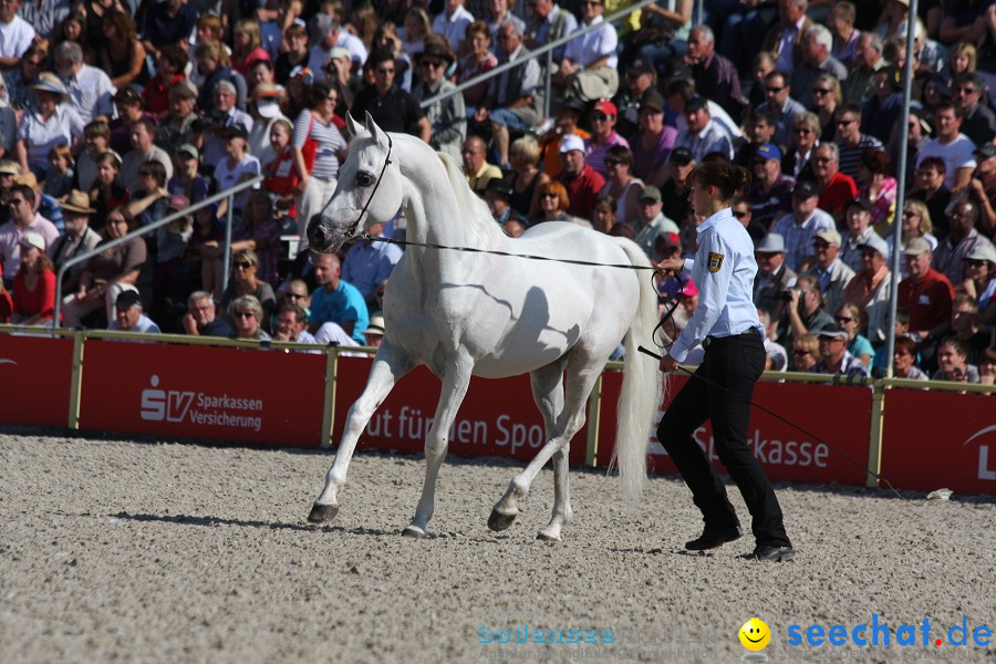 Hengstparade-Marbach-2011-011011-Bodensee-Community-SEECHAT_DE-IMG_0476.JPG