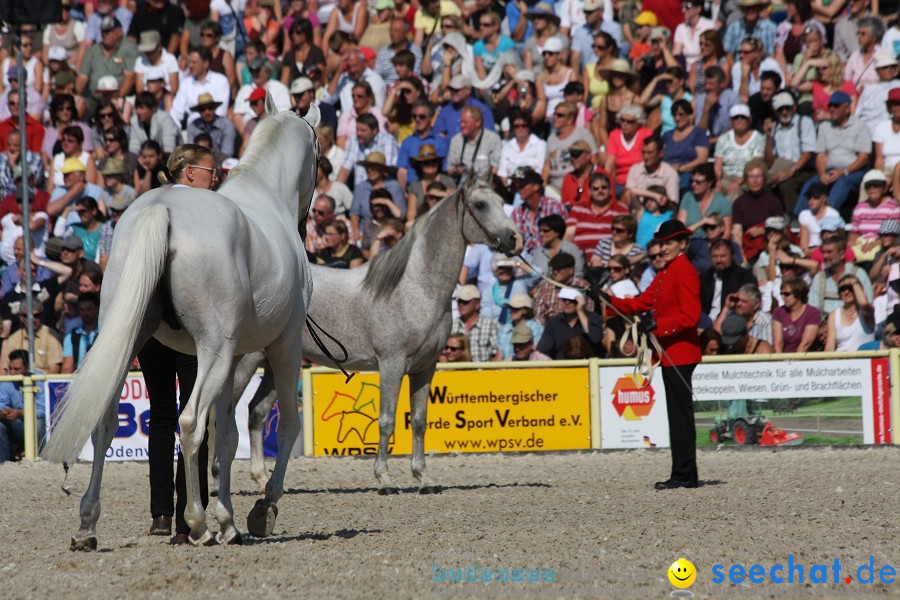 Hengstparade-Marbach-2011-011011-Bodensee-Community-SEECHAT_DE-IMG_0483.JPG