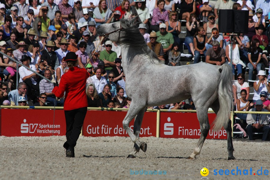 Hengstparade-Marbach-2011-011011-Bodensee-Community-SEECHAT_DE-IMG_0487.JPG