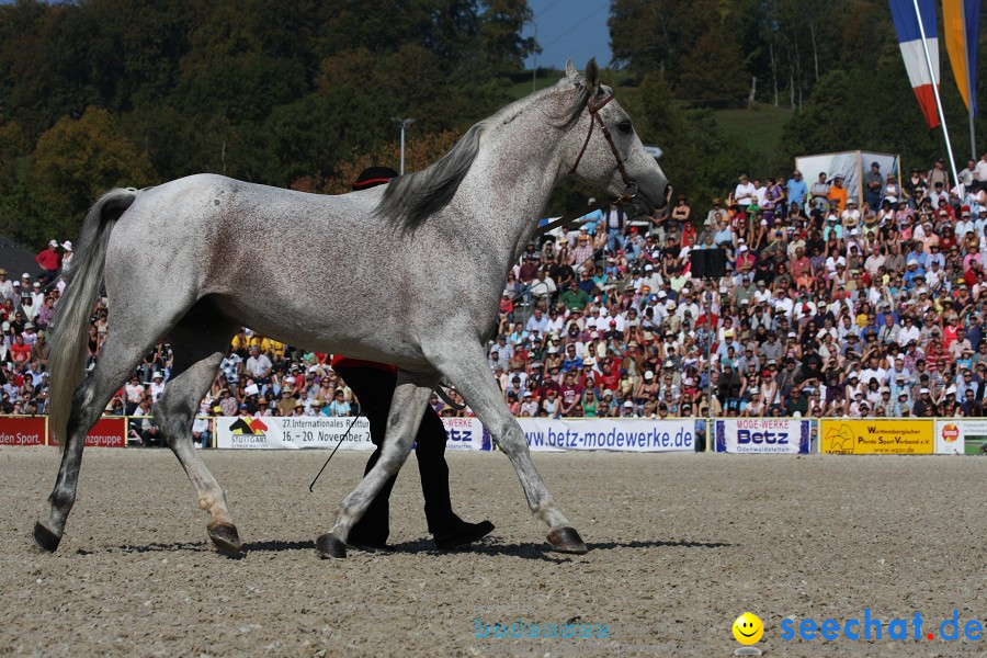 Hengstparade-Marbach-2011-011011-Bodensee-Community-SEECHAT_DE-IMG_0496.JPG